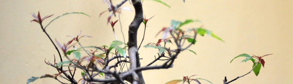 ミリネ韓国語教室